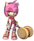 Amy Rose