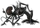 Amygdala Side View