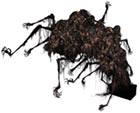 Cramped Casket