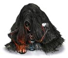 Labyrinth Ritekeeper