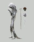 Pilgrim
