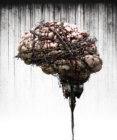 Barbed Wire Brain