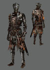 Firelink Armor Set