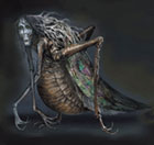 Locust Preacher
