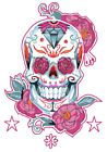 Skull Design