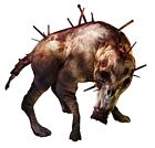 Orthrus
