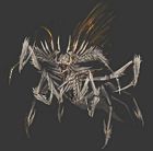 Dominator