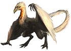 Wyvern