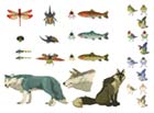 Fauna