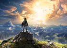 Link Facing the World