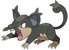 Alolan Rattata