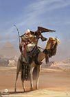 Bayek & Dromedary