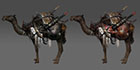 Camels