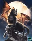 Chat Noir