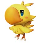 Boko