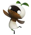 Mandragora