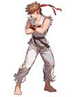 Street Fighter Gran