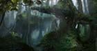 Forest Ruins