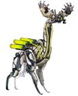 Grazer