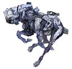 Strider Running