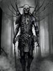 Dark Elf