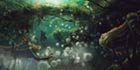 Ancient Forest Concept Art