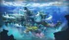 Coral Highlands