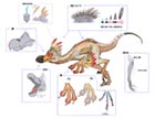 Kulu-Ya-Ku Concept Art