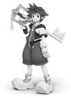 Sora (Timeless River)