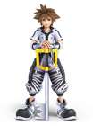 Sora (Ultimate)
