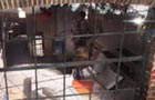 Baby Room
