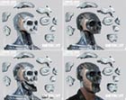 Markus Skull Construction