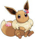 Eevee Accessories
