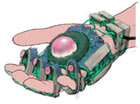 Death Glove Palm