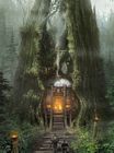 Bran Forest Warriors Home