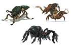 Insects