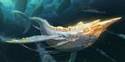 Golden Narwhal