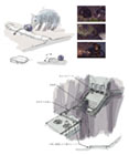 Rolling Cage Concept Art
