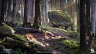 Ashdown Forest