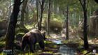 Bear Den