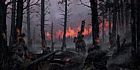 Charred Lands
