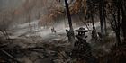 Charred Lands