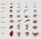 Tar Progression Sketches