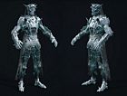 Tarsus Ice Form