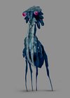 Widow