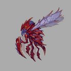 Aqir