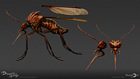 Giant Mosquito