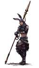 Male Viera
