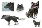 Torgal Concept Art