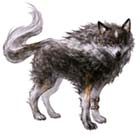 Torgal